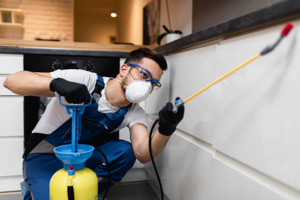 Best Rat Extermination Near Me  in Chesterland, OH