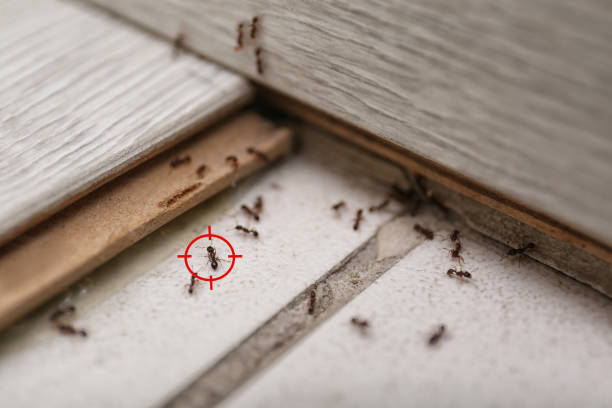 Best Commercial Pest Control Services  in Chesterland, OH